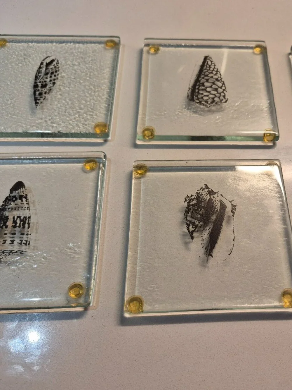 Pier 1 Imports Set of 6 Glass Seashell Coasters